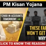 पीएम किसान योजना 22वीं किस्त जारी, किसानों के खाते में 2000 रुपये ट्रांसफर